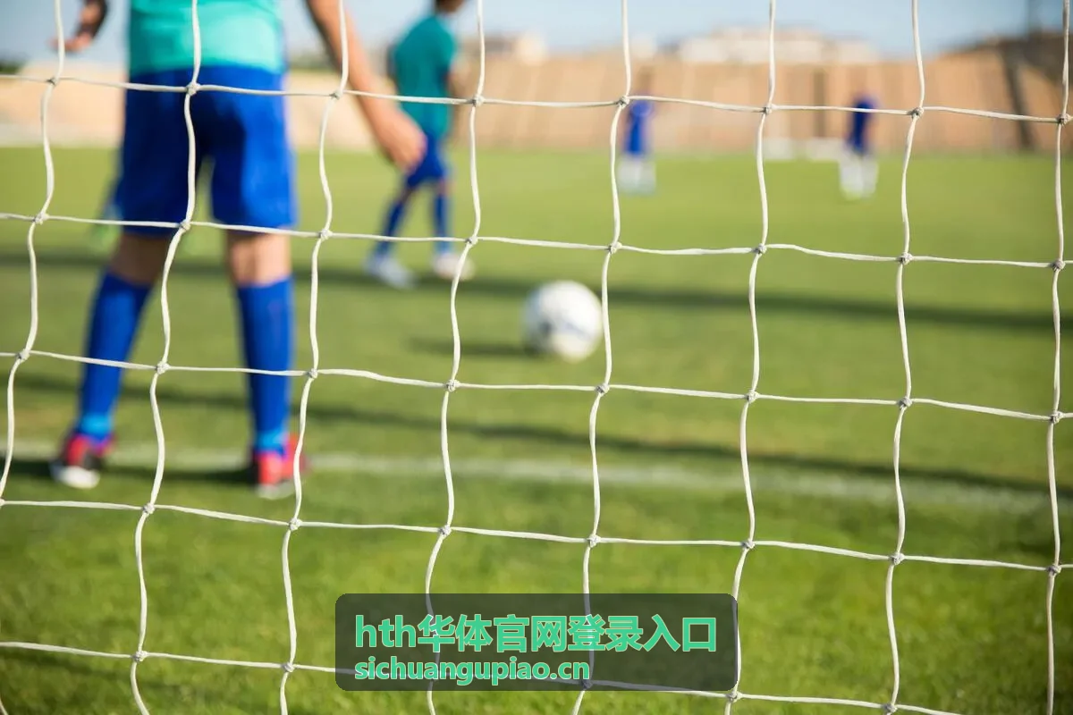 hth华体官网登录入口客户端首页界面