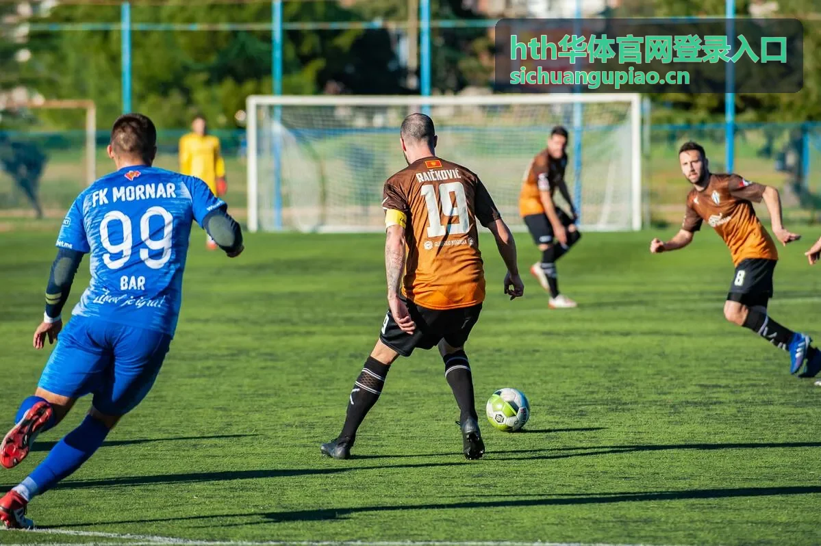 hth华体官网登录入口帮助与客服界面